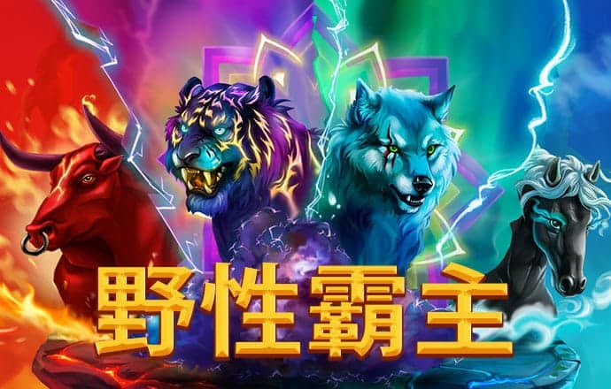 球速体育app平台下载